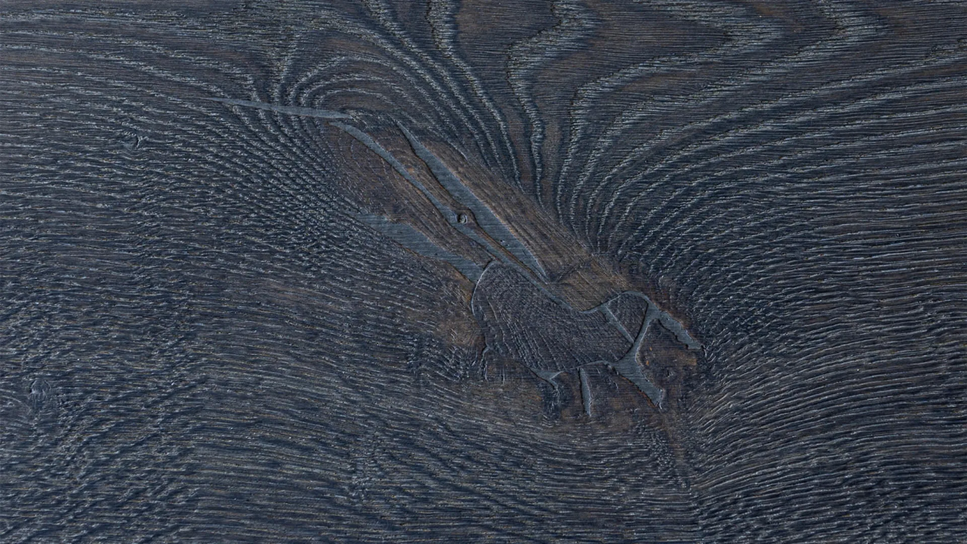 Holz1_cc